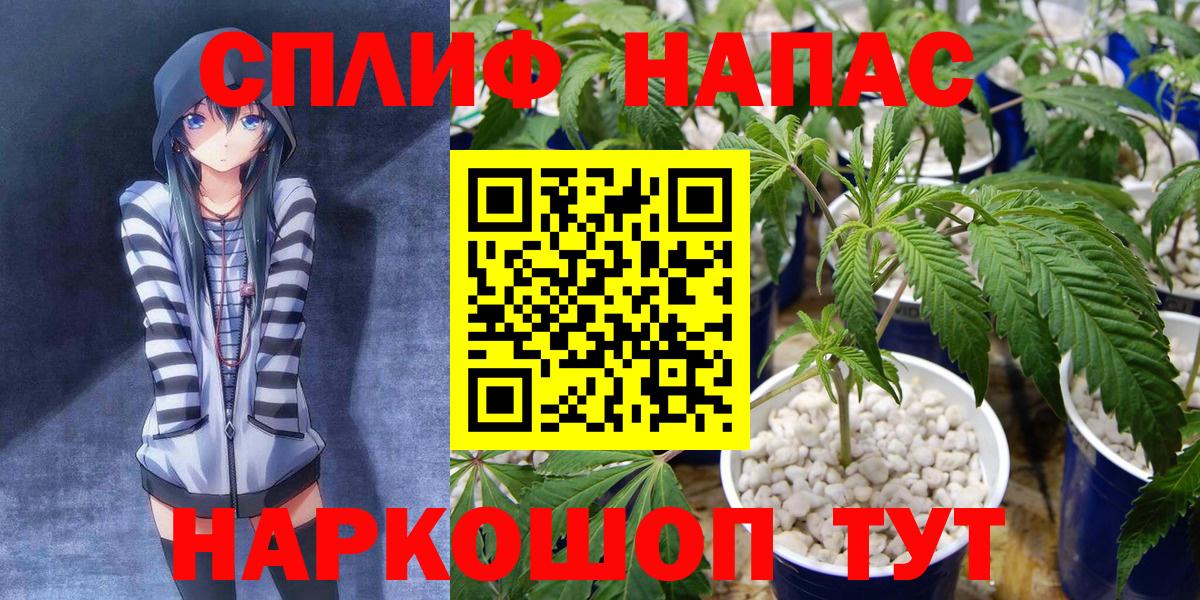 Бошки Шишки AK-47  Бошки марихуана индика  Каннабис Ganja  Вход с VPN  Борисоглебск 
